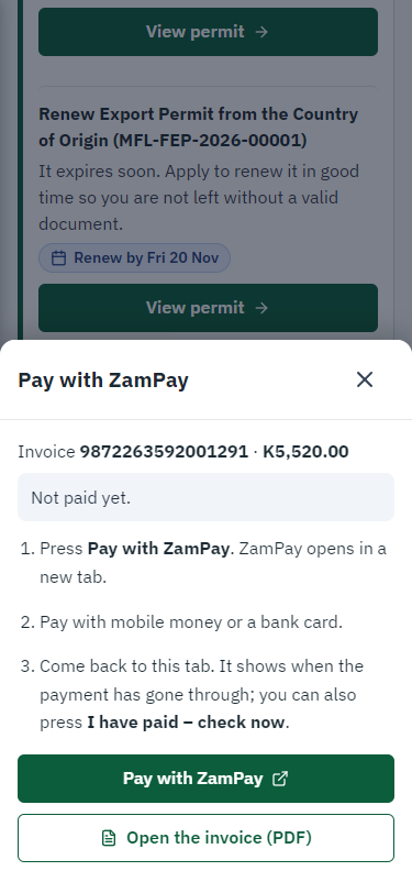 Pay with ZamPay (375 px phone)