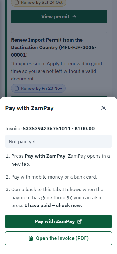 Pay with ZamPay (375 px phone)