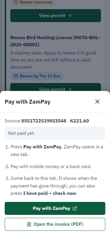 Pay with ZamPay (375 px phone)