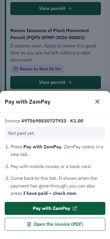 Pay with ZamPay (375 px phone)