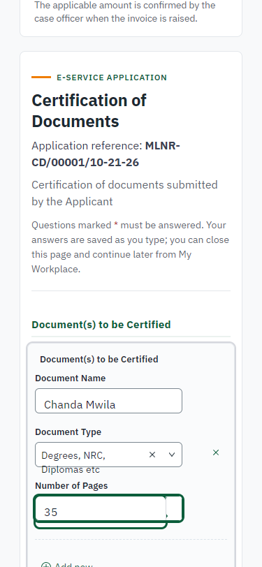 Fill in the application form (375 px phone)