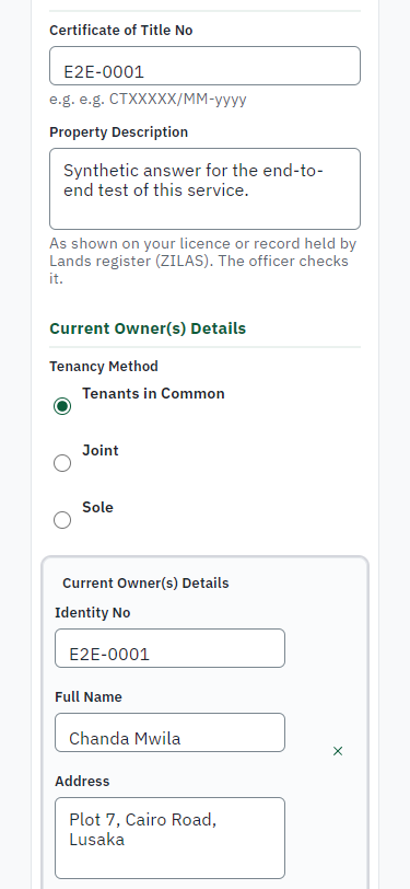 Fill in the application form (375 px phone)