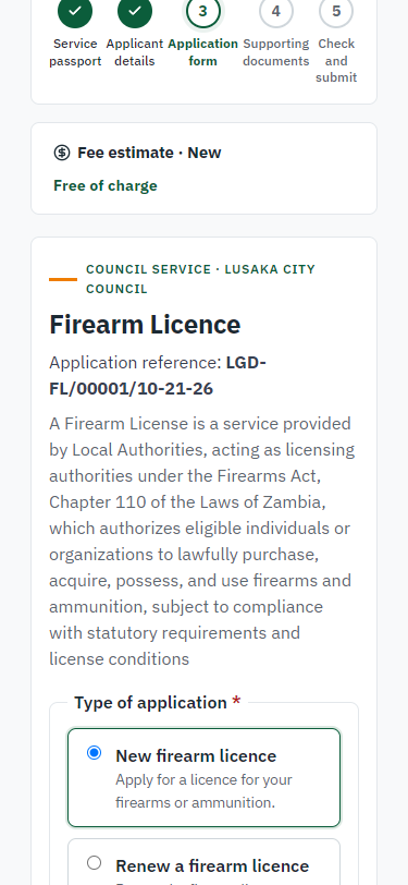Fill in the application form (375 px phone)