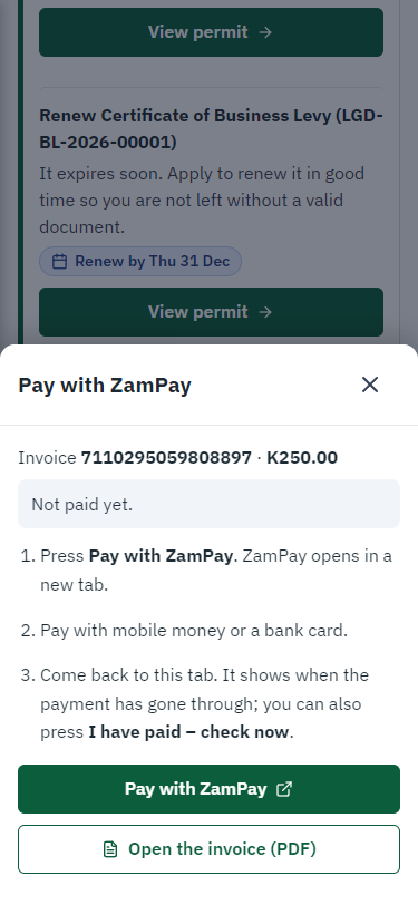 Pay with ZamPay (375 px phone)