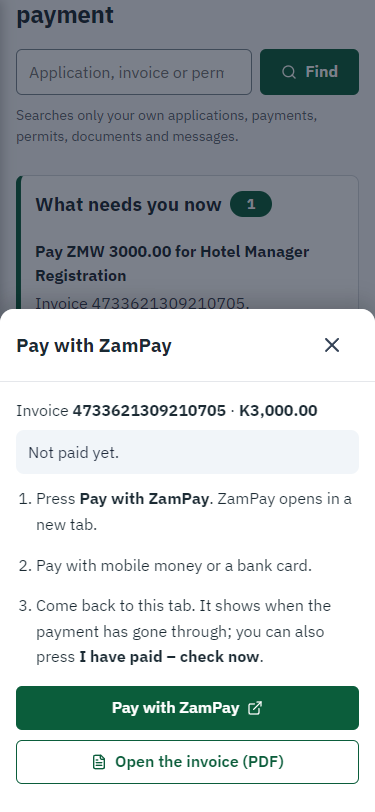 Pay with ZamPay (375 px phone)