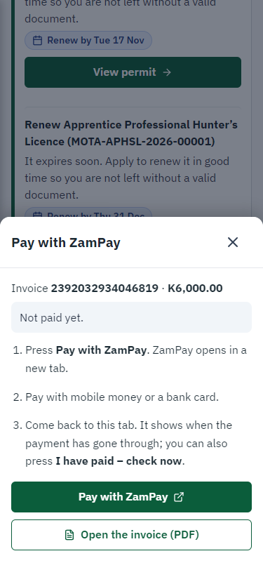 Pay with ZamPay (375 px phone)