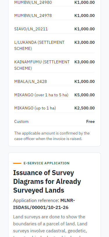 Fill in the application form (375 px phone)