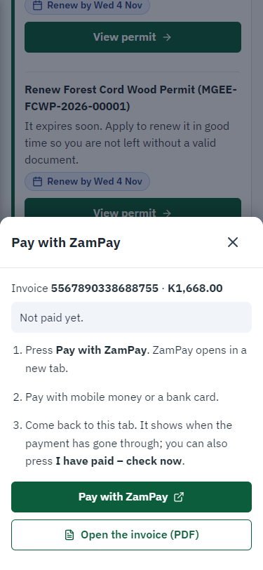 Pay with ZamPay (375 px phone)