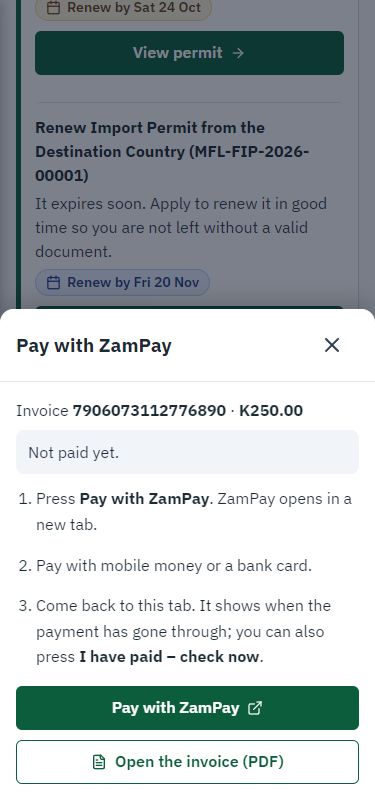 Pay with ZamPay (375 px phone)