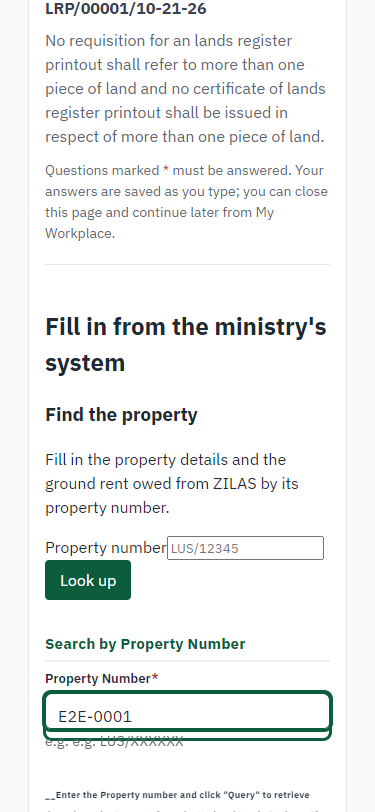 Fill in the application form (375 px phone)
