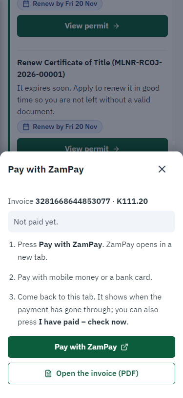 Pay with ZamPay (375 px phone)