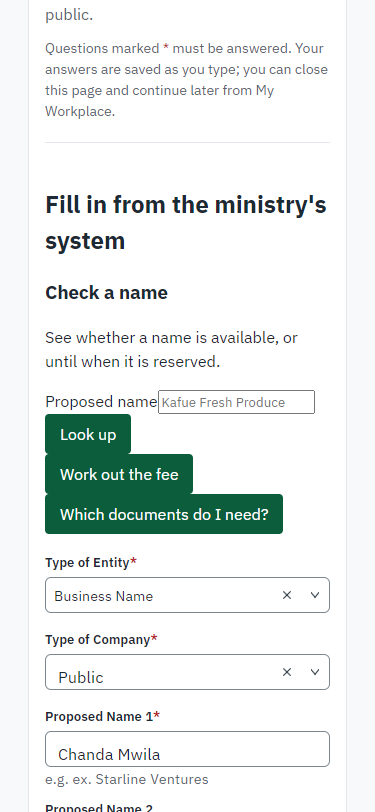 Fill in the application form (375 px phone)