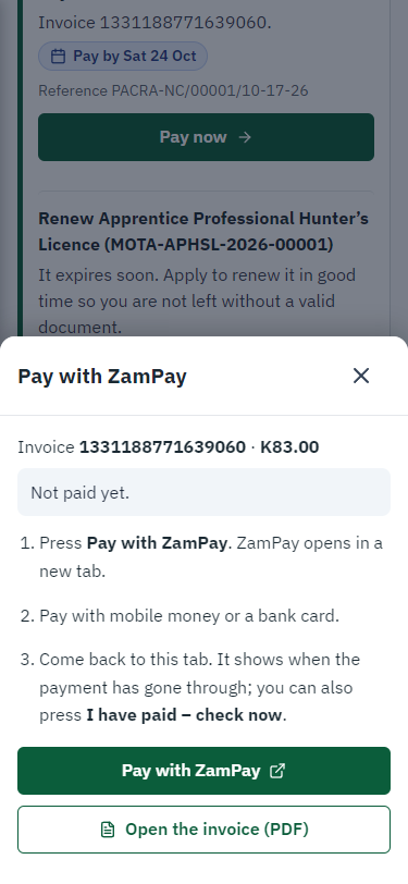Pay with ZamPay (375 px phone)