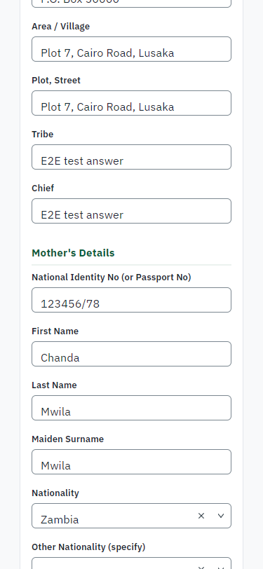 Fill in the application form (375 px phone)