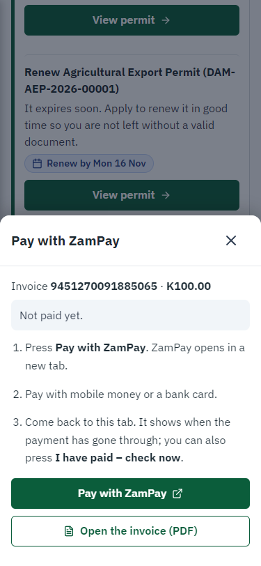 Pay with ZamPay (375 px phone)