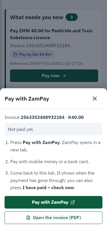 Pay with ZamPay (375 px phone)