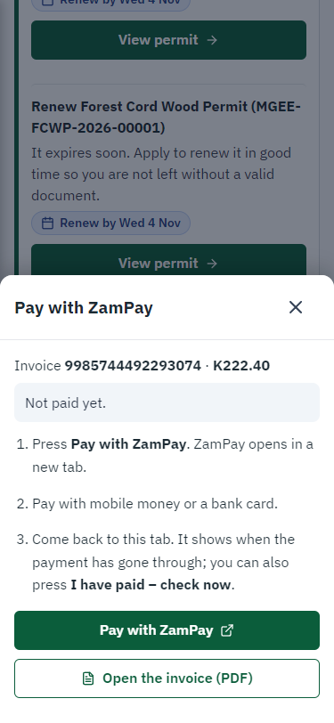 Pay with ZamPay (375 px phone)