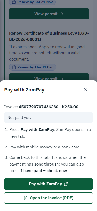 Pay with ZamPay (375 px phone)