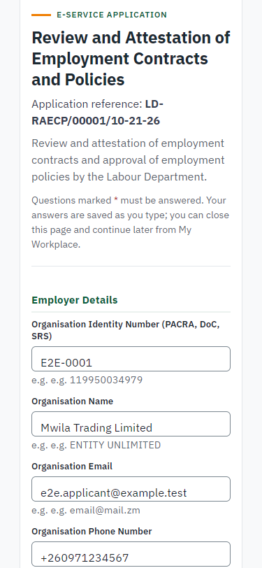 Fill in the application form (375 px phone)