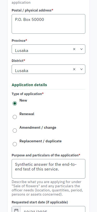 Fill in the application form (375 px phone)