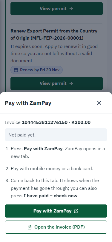 Pay with ZamPay (375 px phone)