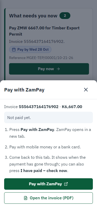 Pay with ZamPay (375 px phone)
