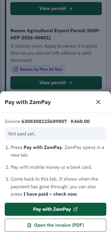 Pay with ZamPay (375 px phone)