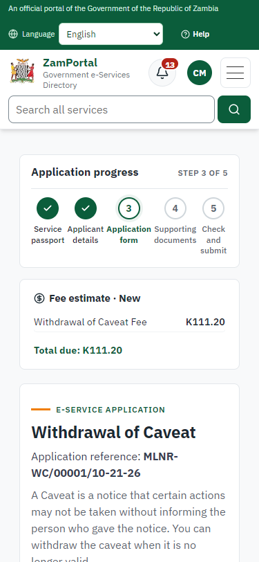 Fill in the application form (375 px phone)